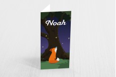 Vosje in de nacht Vosje in de nacht